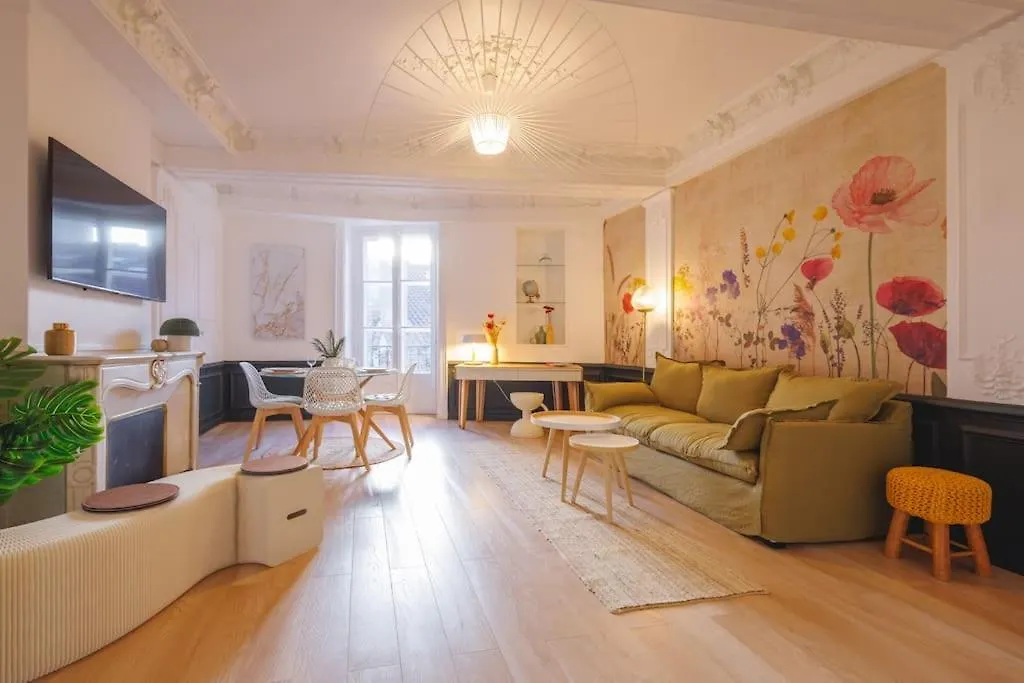 Appartement Le Balcon Du 21 à Bourg-en-Bresse France