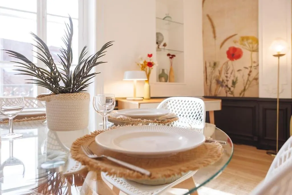 Appartement Le Balcon Du 21 à Bourg-en-Bresse France
